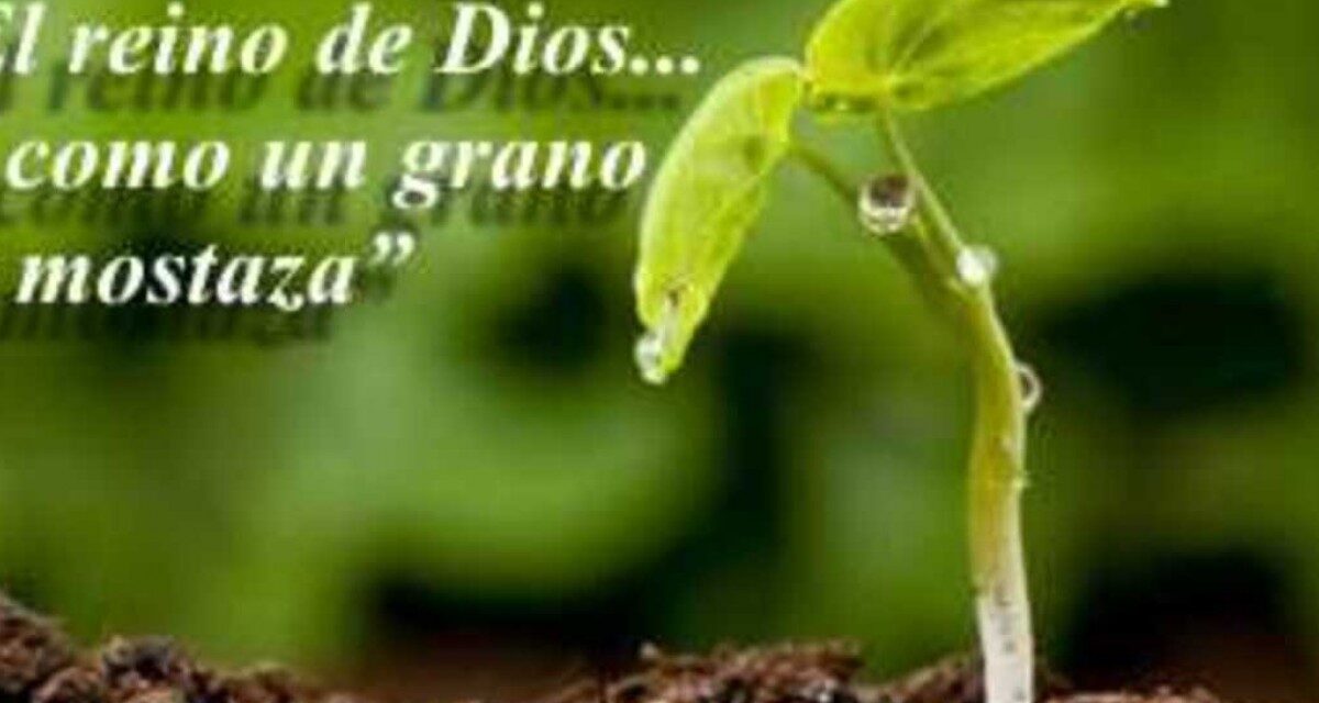 DÉCIMO PRIMER DOMINGO DEL TIEMPO ORDINARIO (B): TODO LO VENCE EL AMOR