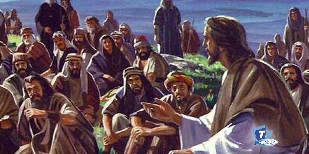 SEXTO DOMINGO DEL TIEMPO ORDINARIO (A): QUE AME COMO TU AMAS