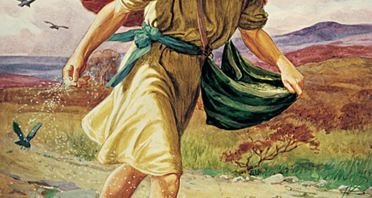 LA SIEMBRA DE DIOS