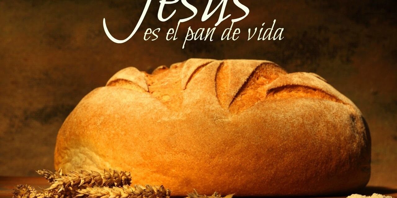 DÉCIMO OCTAVO DOMINGO DEL TIEMPO ORDINARIO (B): PAN DE VIDA I