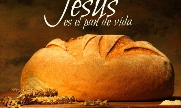 DÉCIMO OCTAVO DOMINGO DEL TIEMPO ORDINARIO (B): PAN DE VIDA I