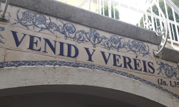 VENID Y VERÉIS