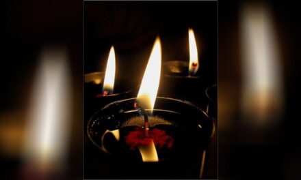 SALVADOS POR LA LUZ