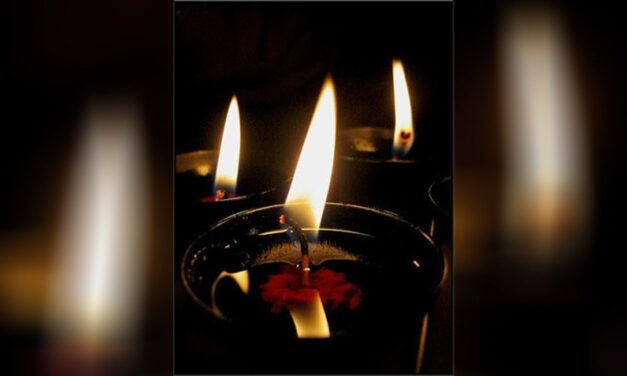 SALVADOS POR LA LUZ