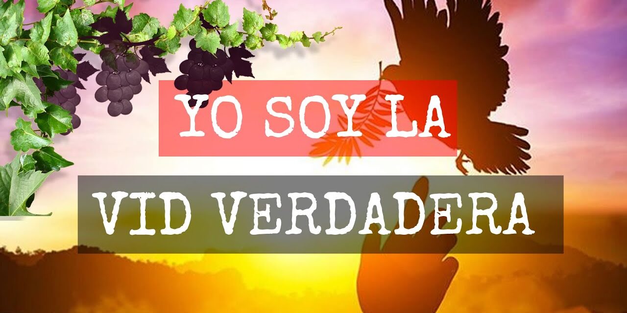 UNIDOS A LA VID