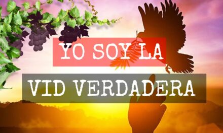UNIDOS A LA VID