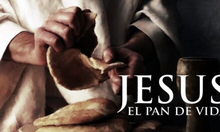 DÉCIMO NOVENO DOMINGO DEL TIEMPO ORDINARIO (B): PAN DE VIDA II