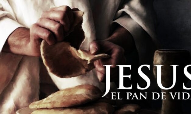 DÉCIMO NOVENO DOMINGO DEL TIEMPO ORDINARIO (B): PAN DE VIDA II