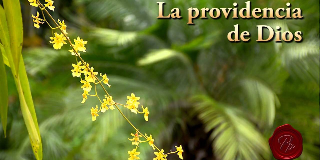 LA PROVIDENCIA DE DIOS