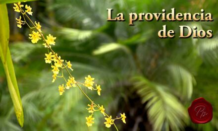 LA PROVIDENCIA DE DIOS