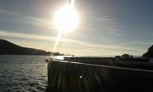 REMAR MAR ADENTRO
