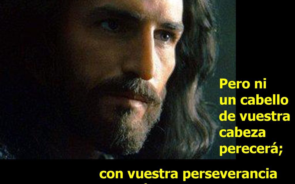 LA LUCHA POR EL ALMA DE ESTE MUNDO 