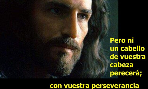 LA LUCHA POR EL ALMA DE ESTE MUNDO 