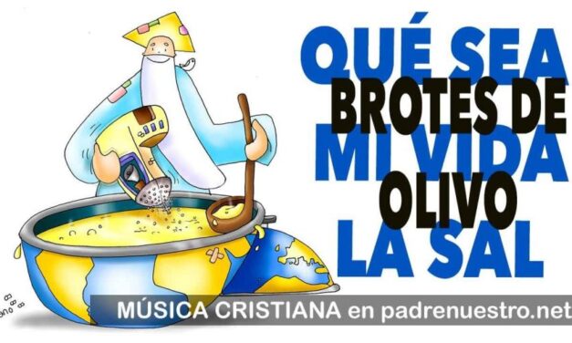 SAL Y LUZ