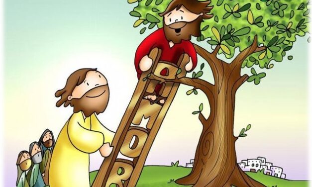TRIGÉSIMO PRIMER DOMINGO DEL TIEMPO ORDINARIO (CICLO C): EL ENCUENTRO